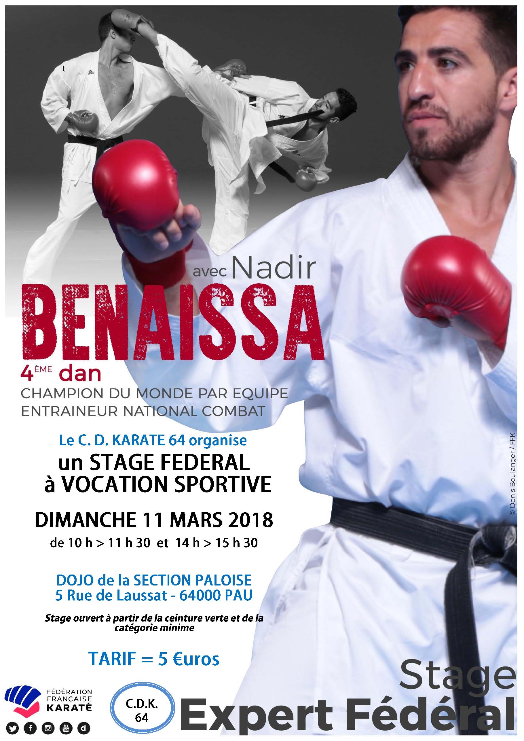 Stage à vocation sportive animé par NADIR BENAISSA - 4° Dan - Dimanche 11 Mars 2018 - DOJO KARATE - Rue de Laussat - PAU