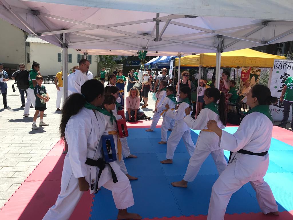 120 ANS de la SECTION PALOISE - Journée OMNISPORTS le Samedi 02 Juillet 2022 au HEDAS.