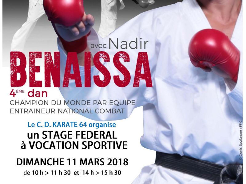 Stage Fédéral à vocation sportive animé par Nadir BENAISSA - 4° Dan - Champion du Monde par équipe - Dimanche 11 Mars 2018 - Dojo SECTION PALOISE - PAU